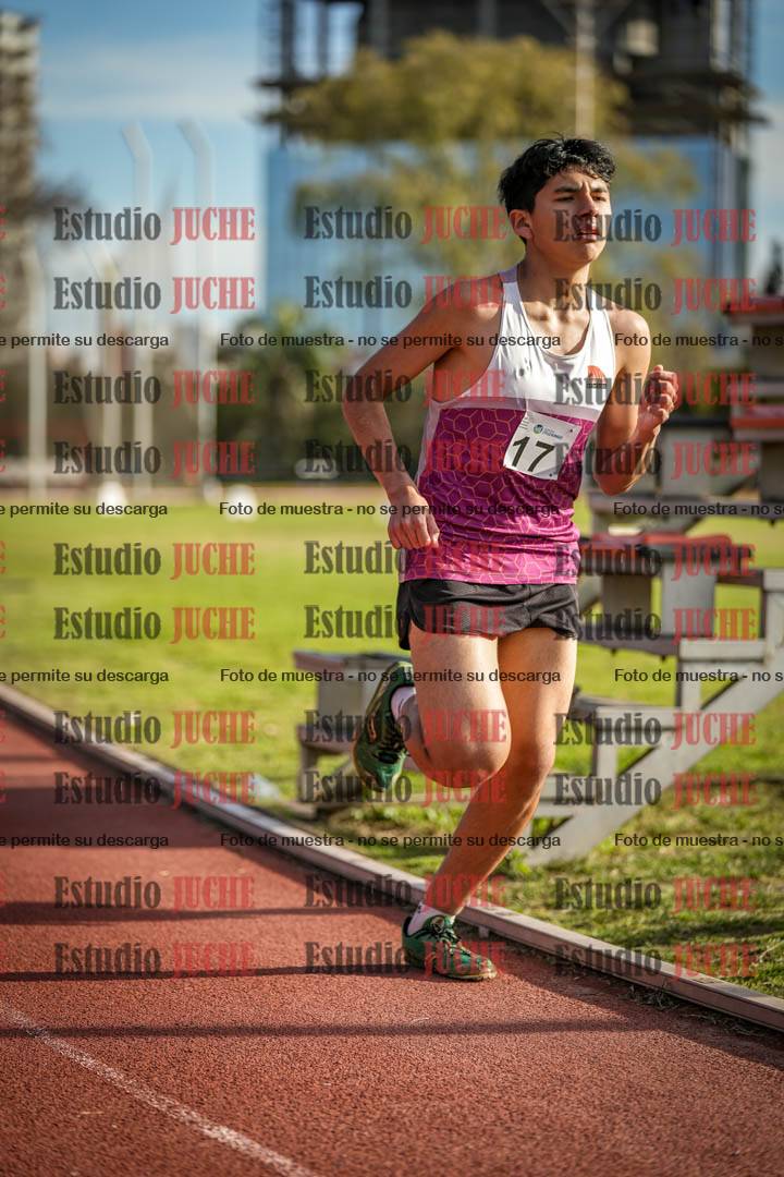 Fotos de los 3000 m llanos de varones