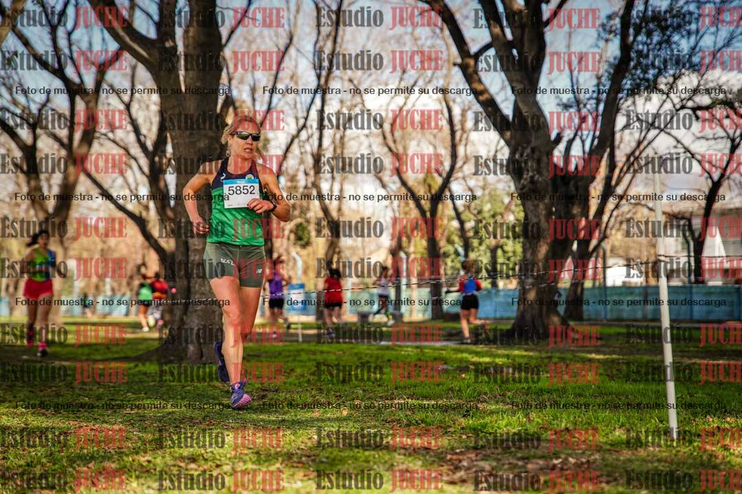 Fotos en el circuito