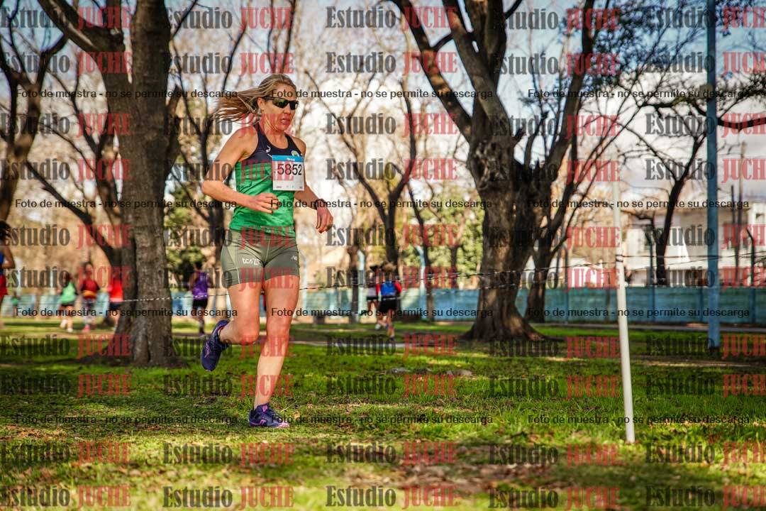 Fotos en el circuito