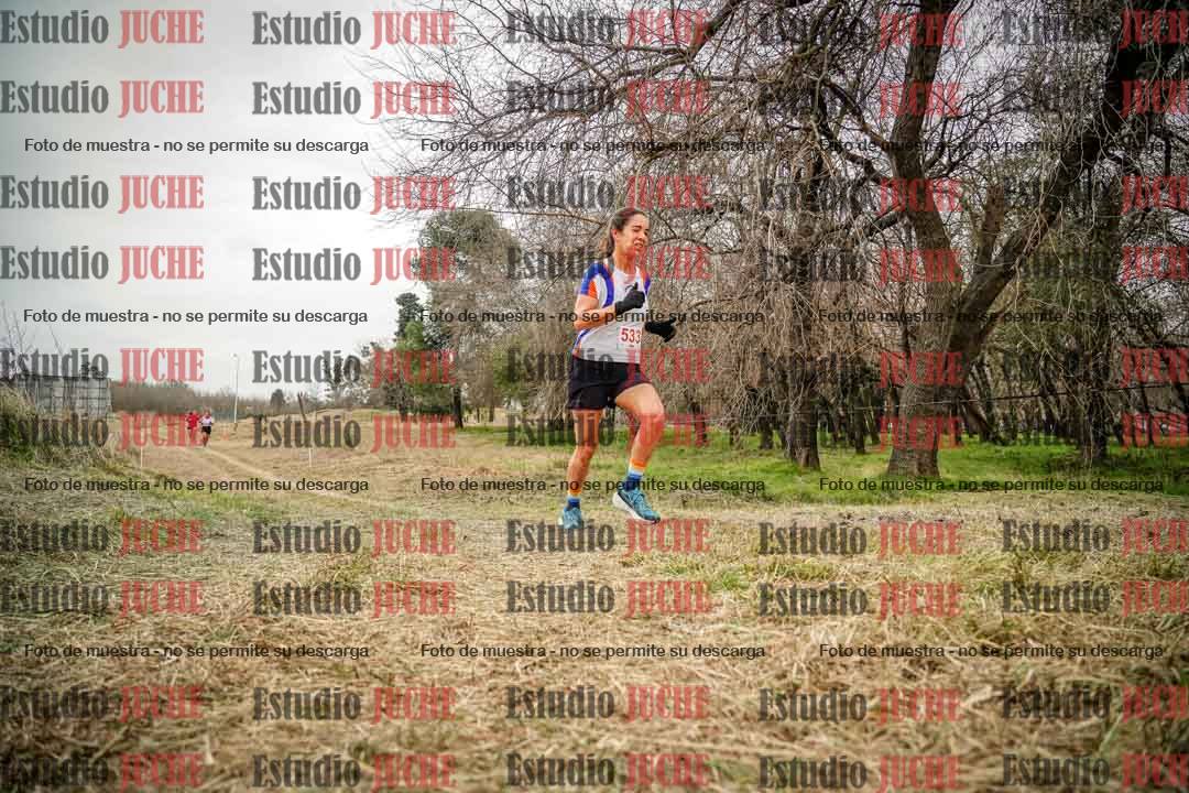 Fotos en el circuito