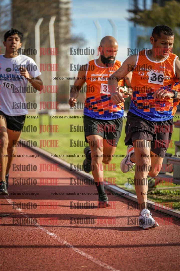 Fotos de los 3000 m llanos de varones
