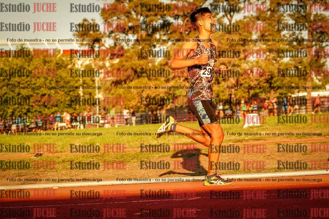 Fotos de los 3000 m llanos de varones