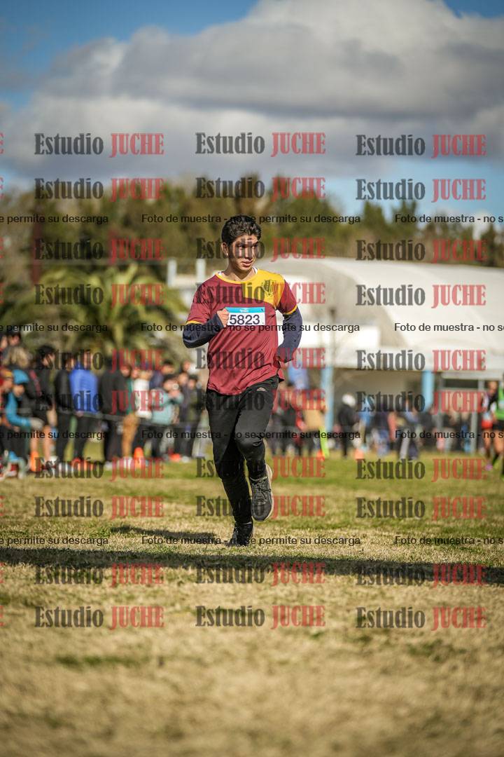 Fotos de las llegadas