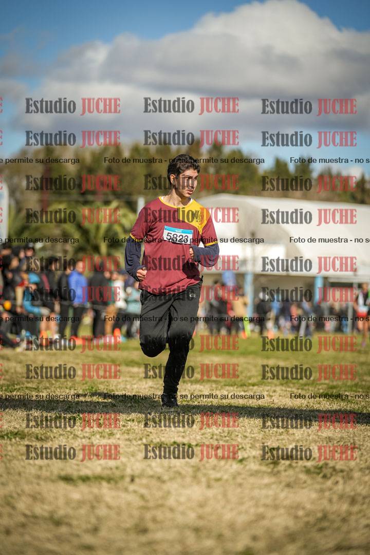 Fotos de las llegadas