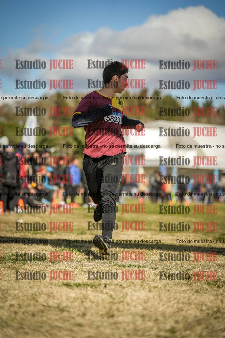 Fotos de las llegadas
