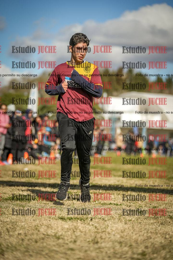 Fotos de las llegadas