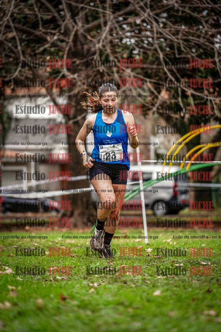 Fotos en el circuito
