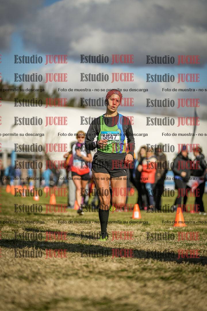 Fotos de las llegadas