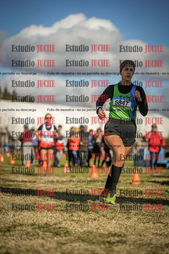 Fotos de las llegadas