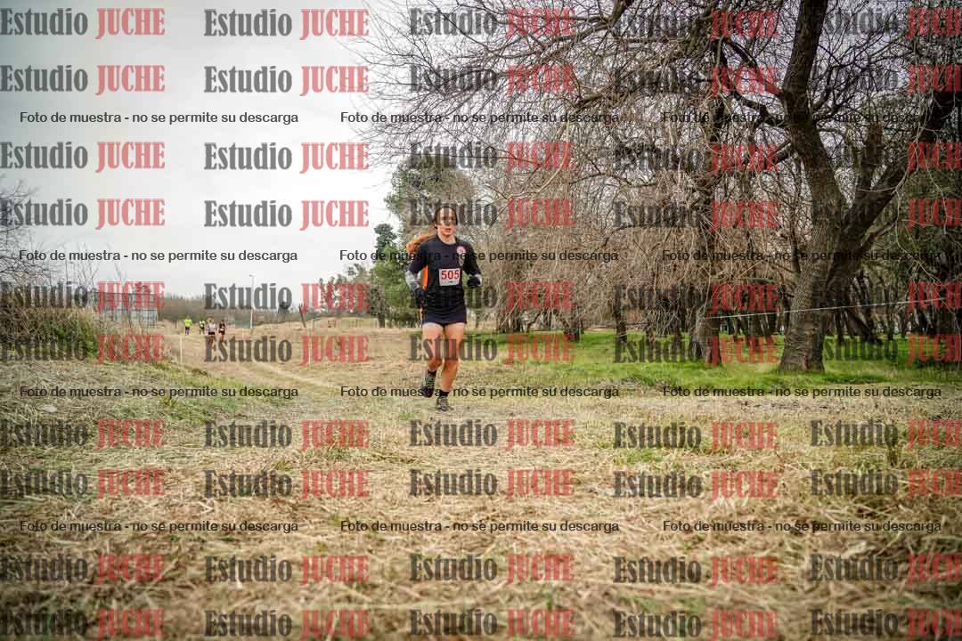 Fotos en el circuito
