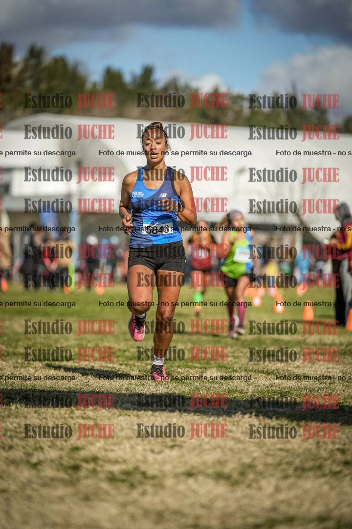 Fotos de las llegadas