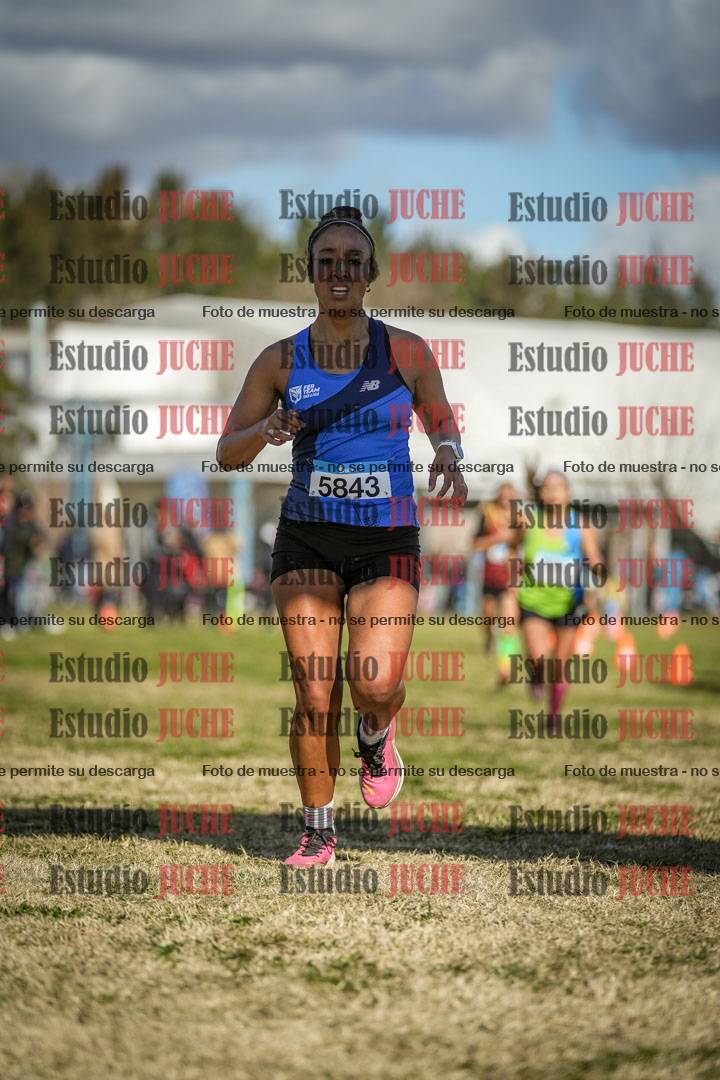 Fotos de las llegadas