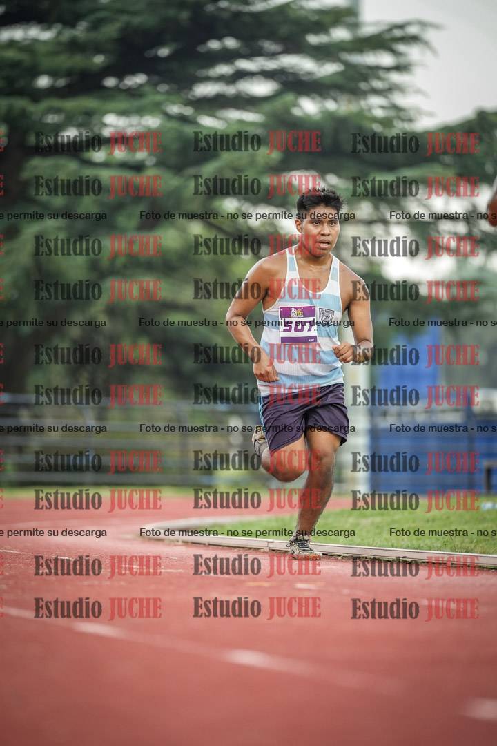 Fotos de los 3000 m llanos de varones