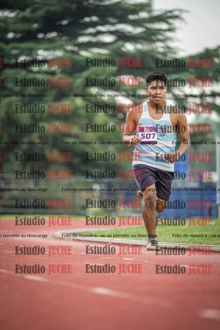 Fotos de los 3000 m llanos de varones