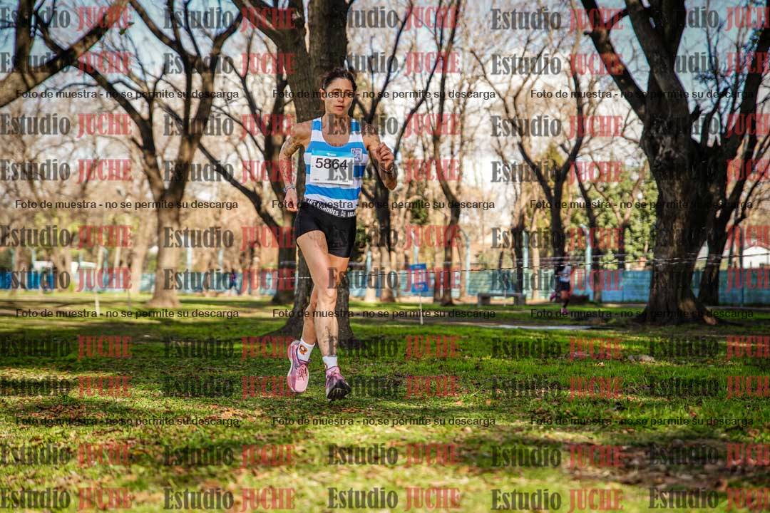 Fotos en el circuito