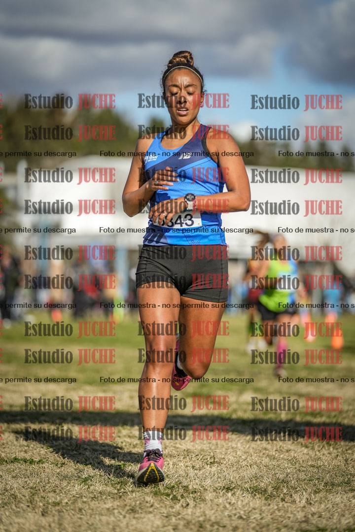 Fotos de las llegadas