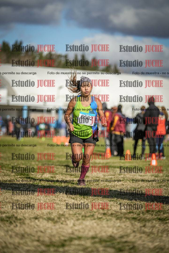 Fotos de las llegadas