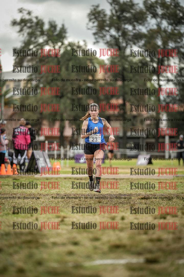 Fotos de la llegada