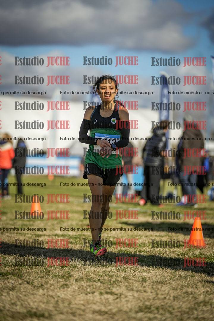 Fotos de las llegadas