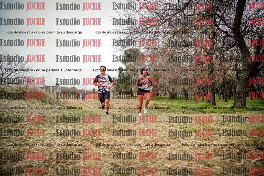Fotos en el circuito