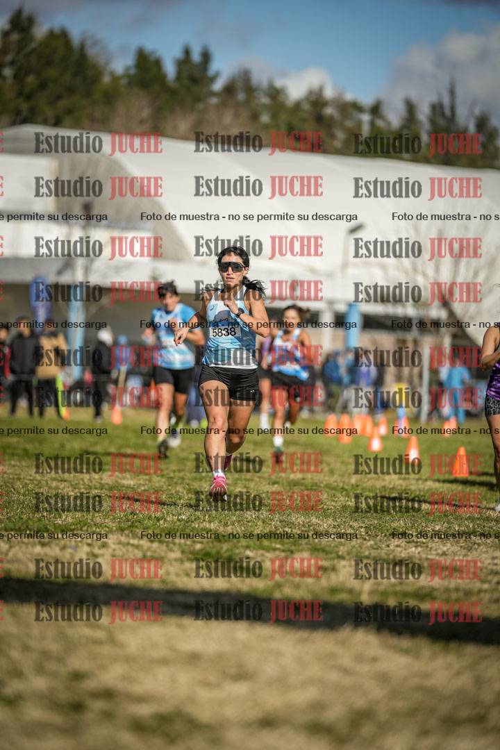 Fotos de las llegadas