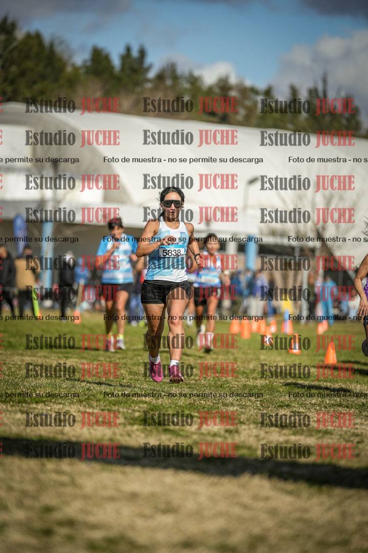 Fotos de las llegadas
