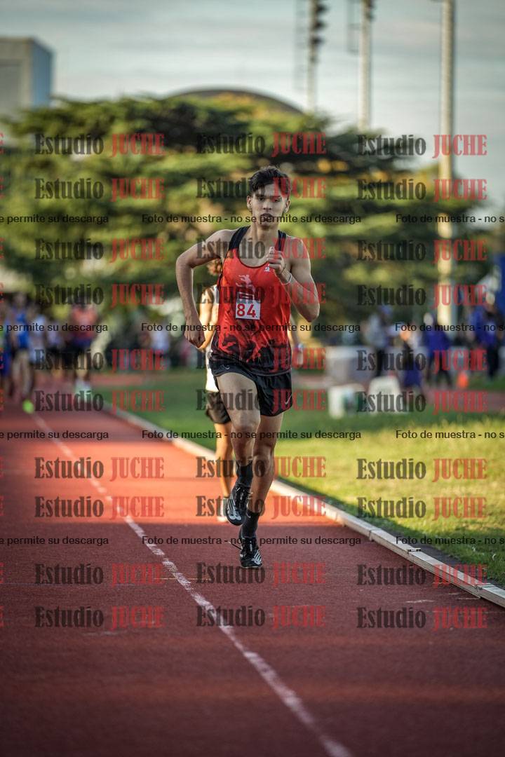 Fotos de los 1500 m llanos de varones