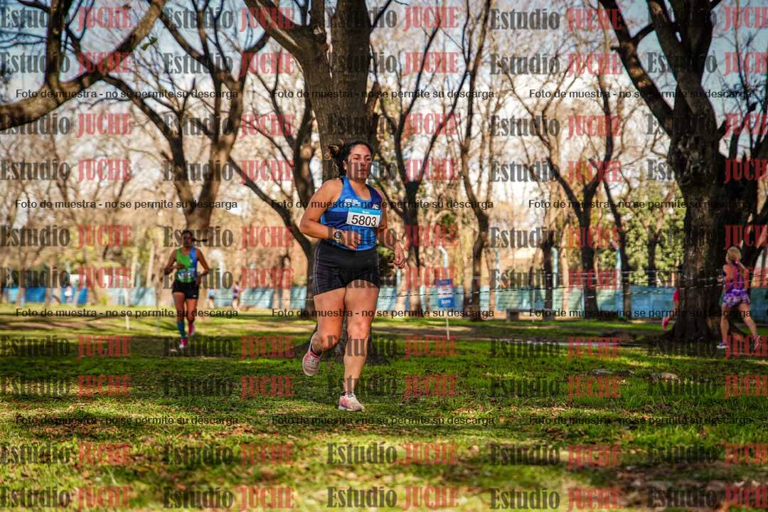 Fotos en el circuito