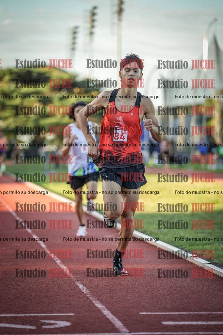 Fotos de los 1500 m llanos de varones