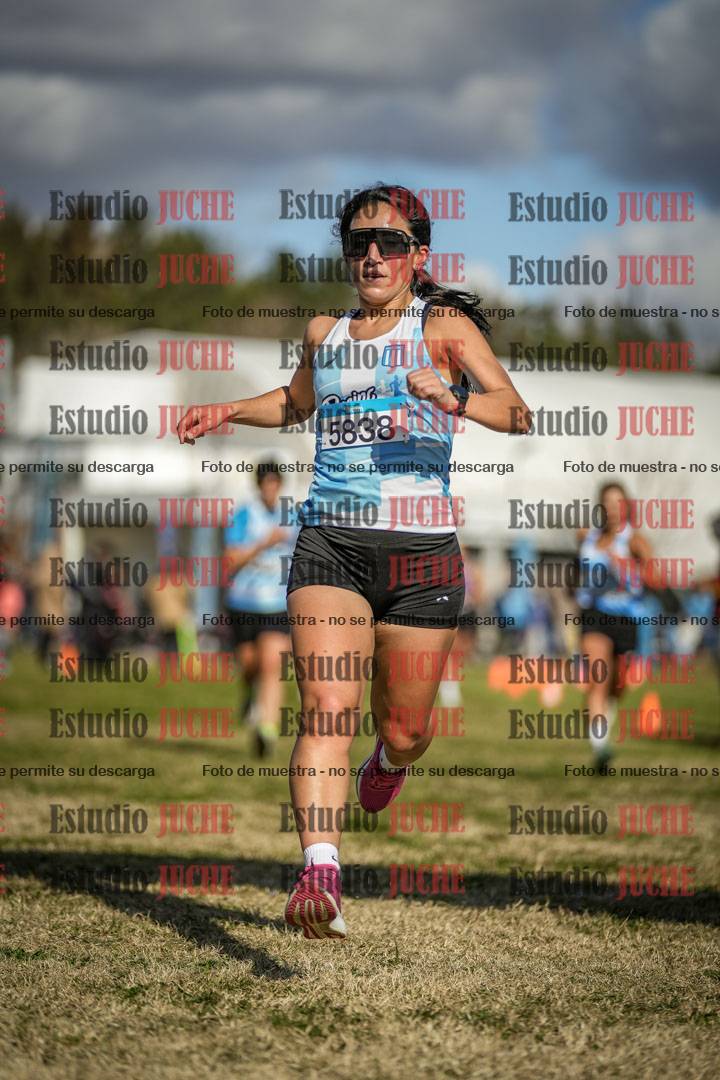 Fotos de las llegadas