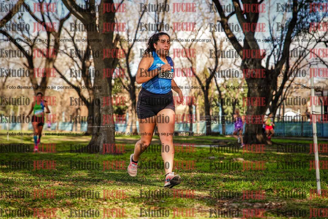 Fotos en el circuito