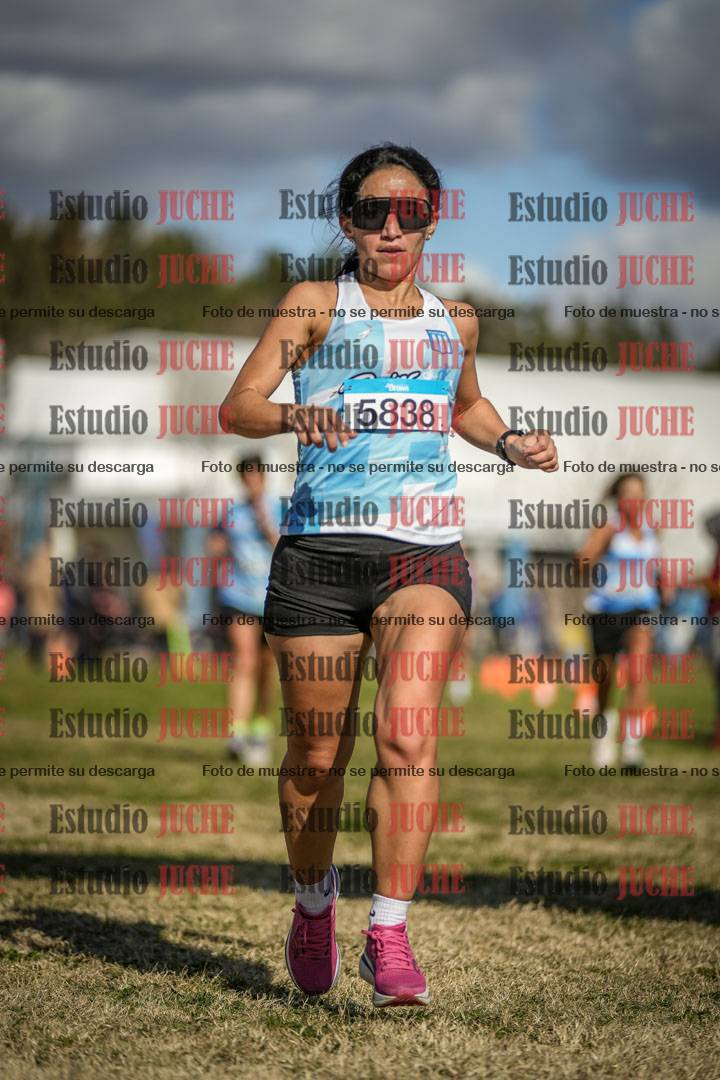 Fotos de las llegadas