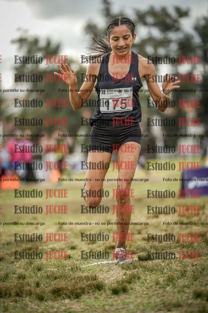 Fotos de la llegada