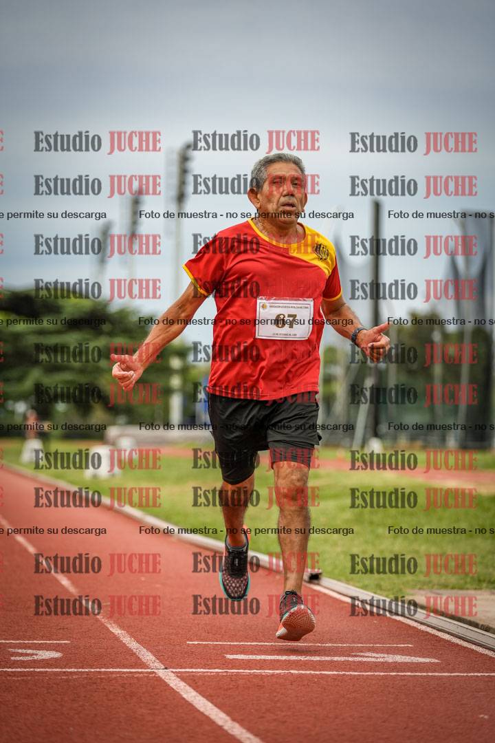 Fotos de los 3000 m llanos de varones