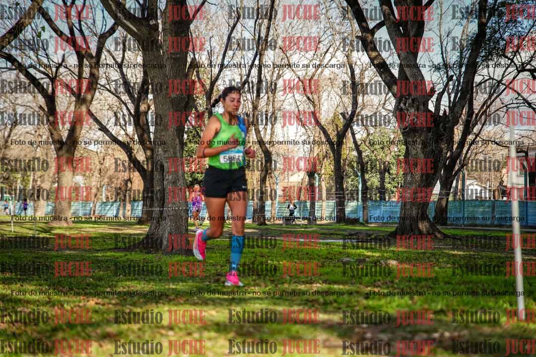 Fotos en el circuito