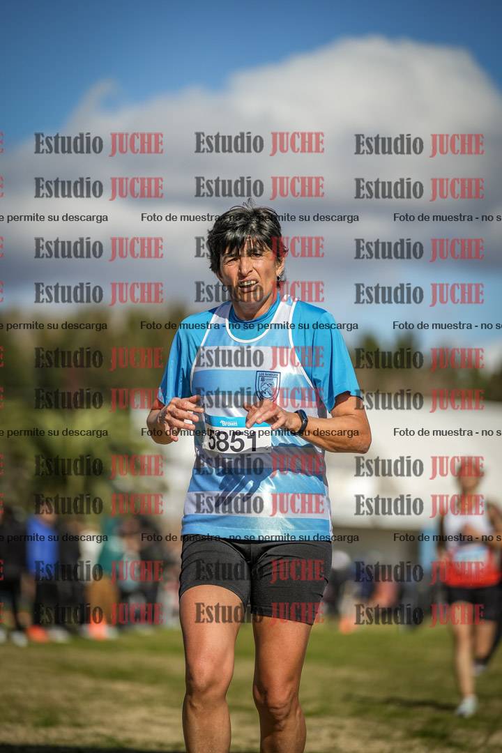 Fotos de las llegadas