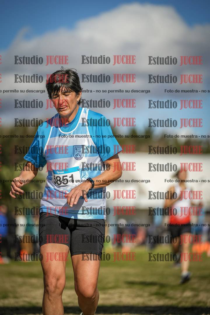 Fotos de las llegadas