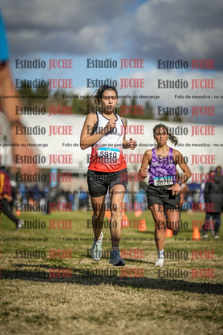 Fotos de las llegadas