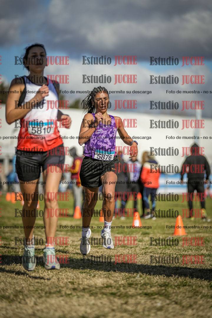 Fotos de las llegadas