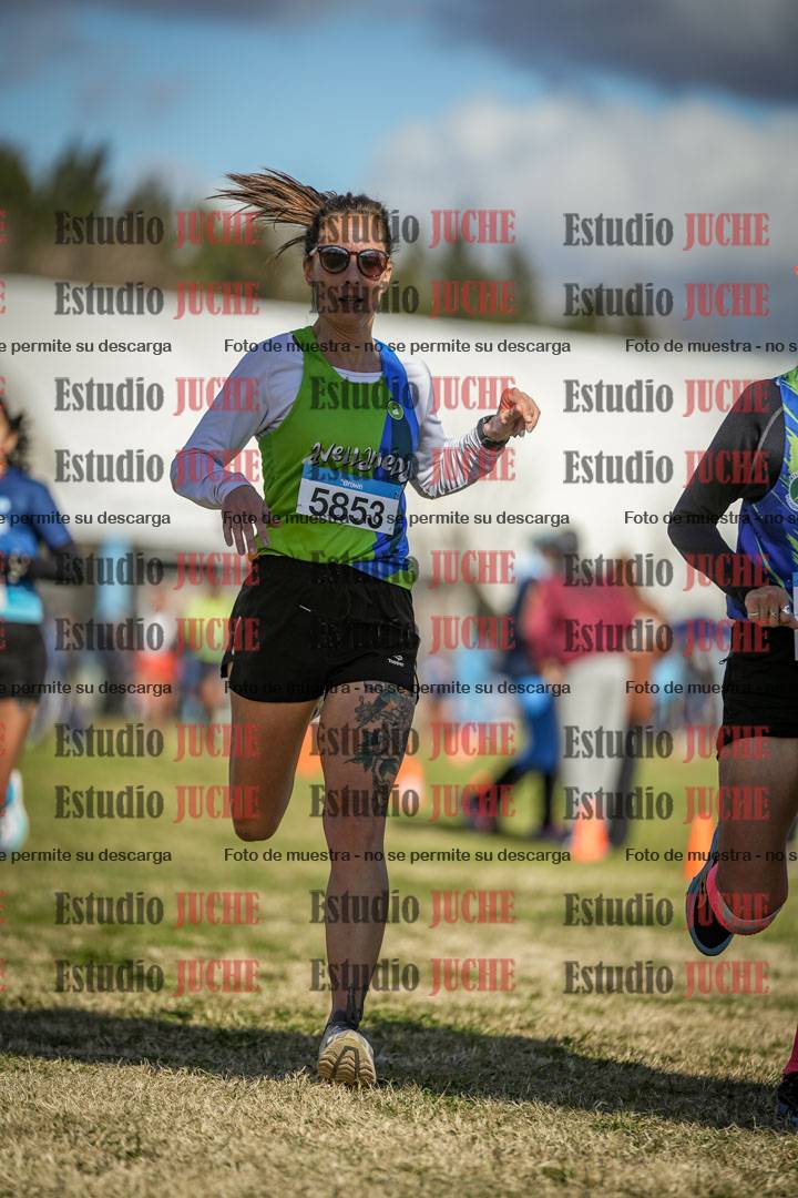 Fotos de las llegadas