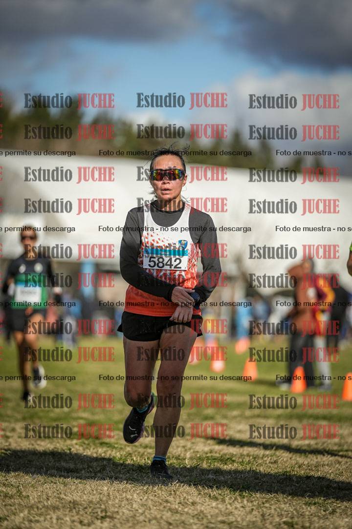 Fotos de las llegadas