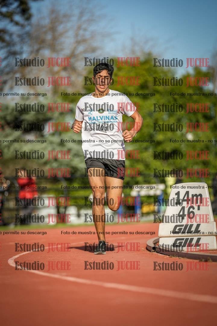 Fotos de los 3000 m llanos de varones