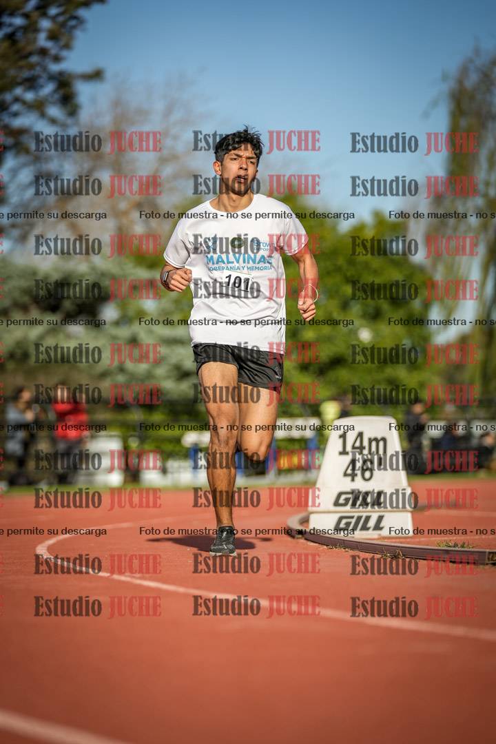 Fotos de los 3000 m llanos de varones