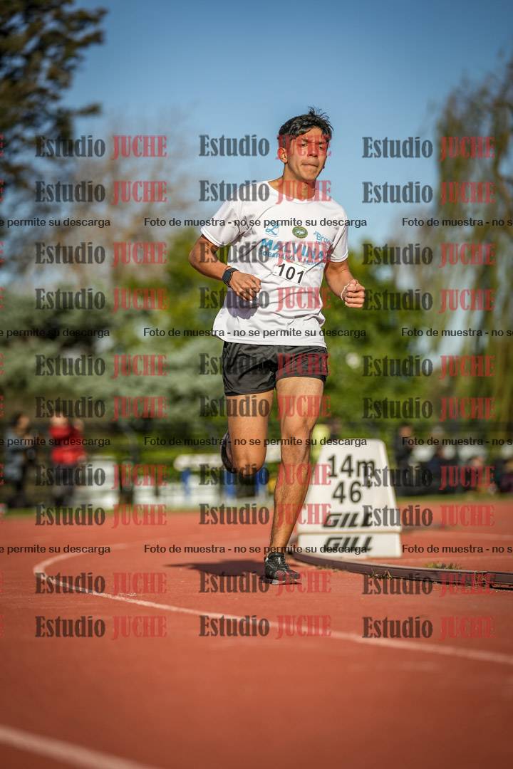 Fotos de los 3000 m llanos de varones