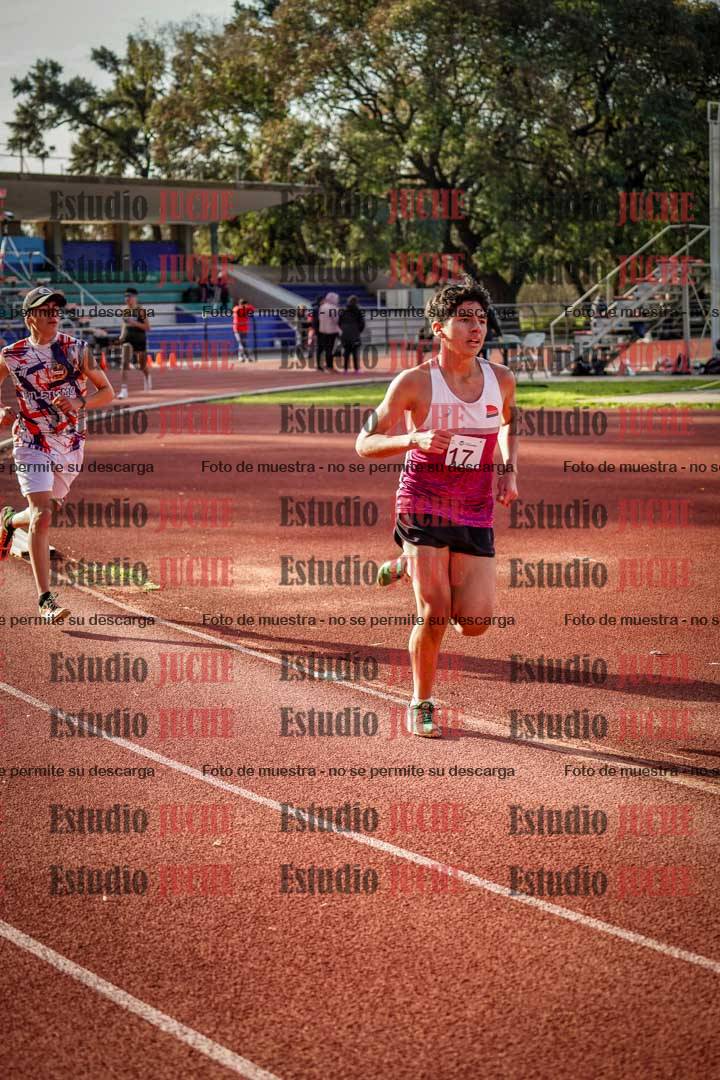 Fotos de los 3000 m llanos de varones