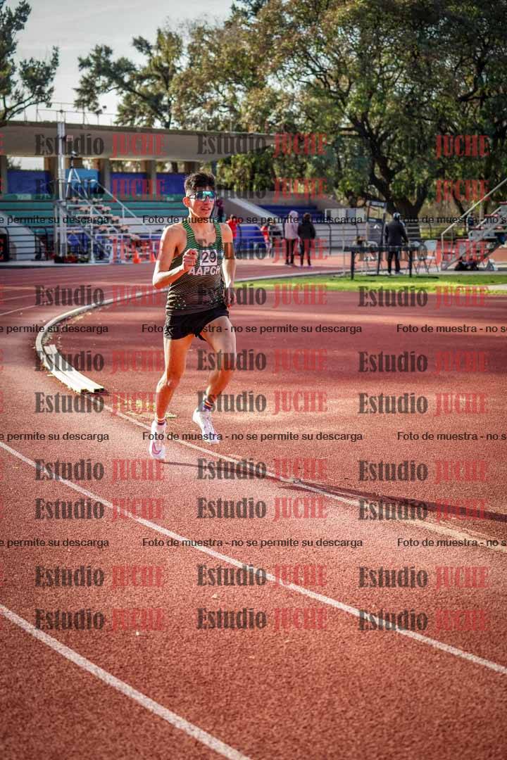 Fotos de los 3000 m llanos de varones