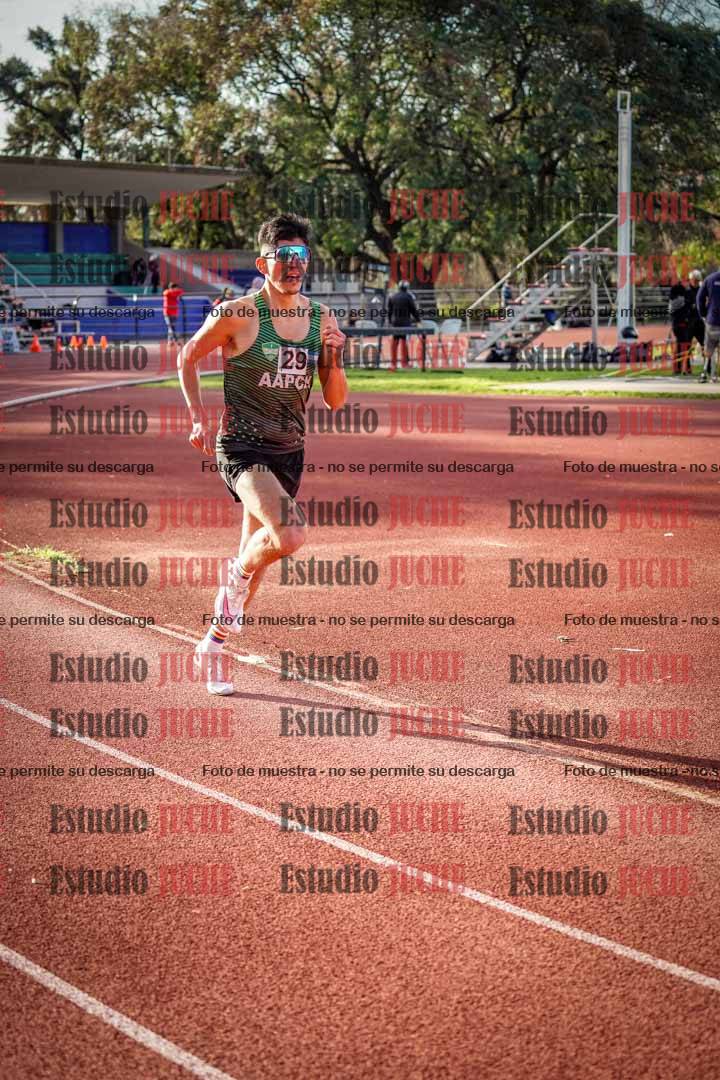 Fotos de los 3000 m llanos de varones