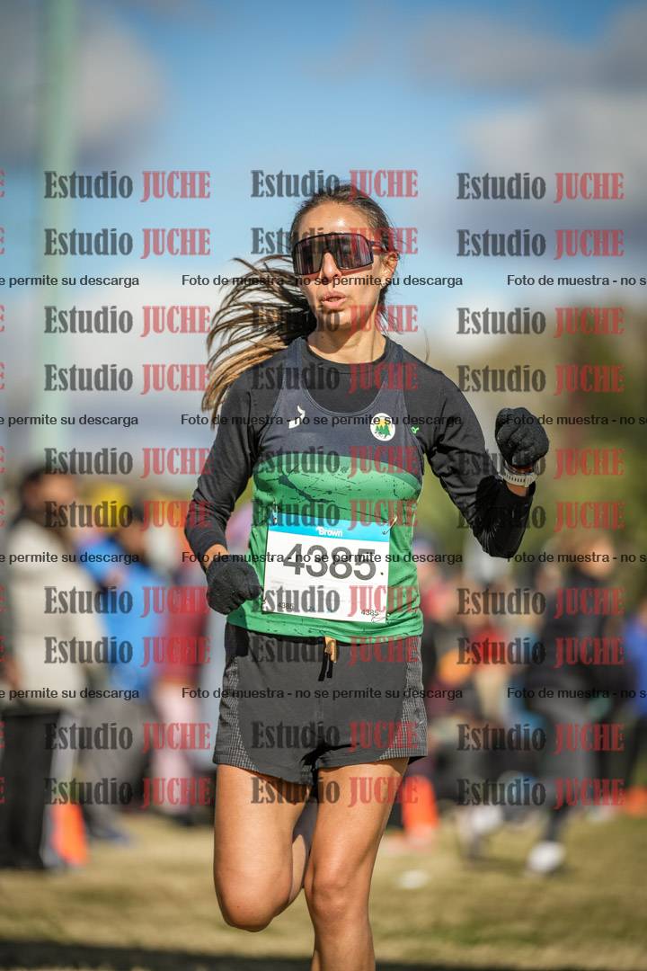 Fotos de las llegadas