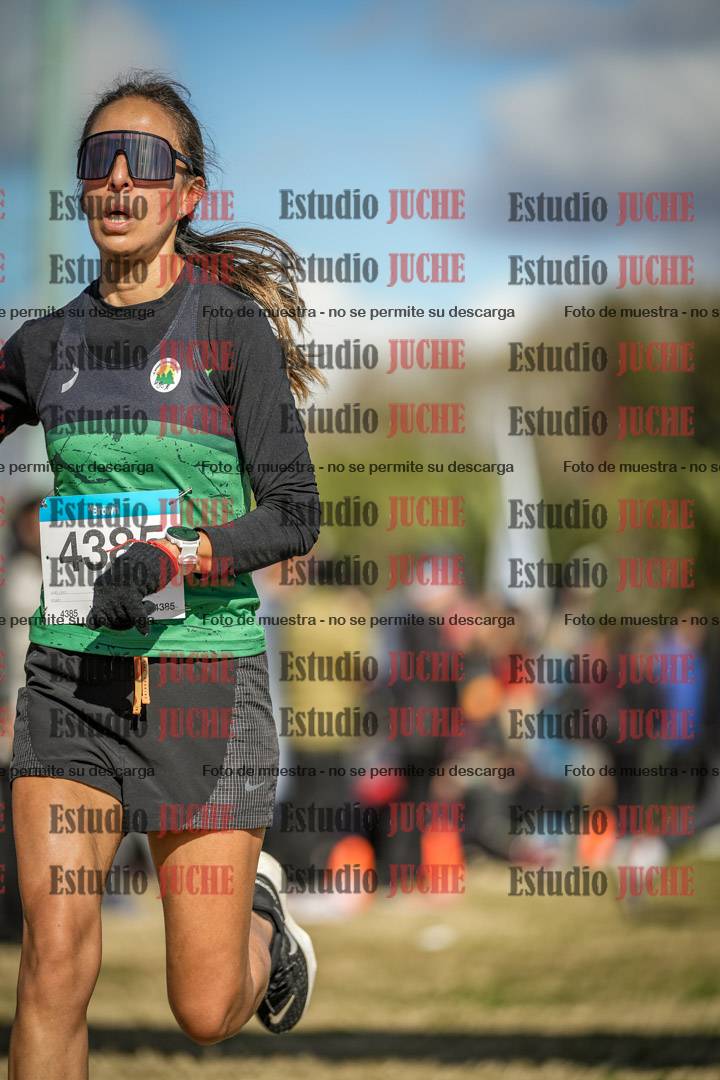 Fotos de las llegadas
