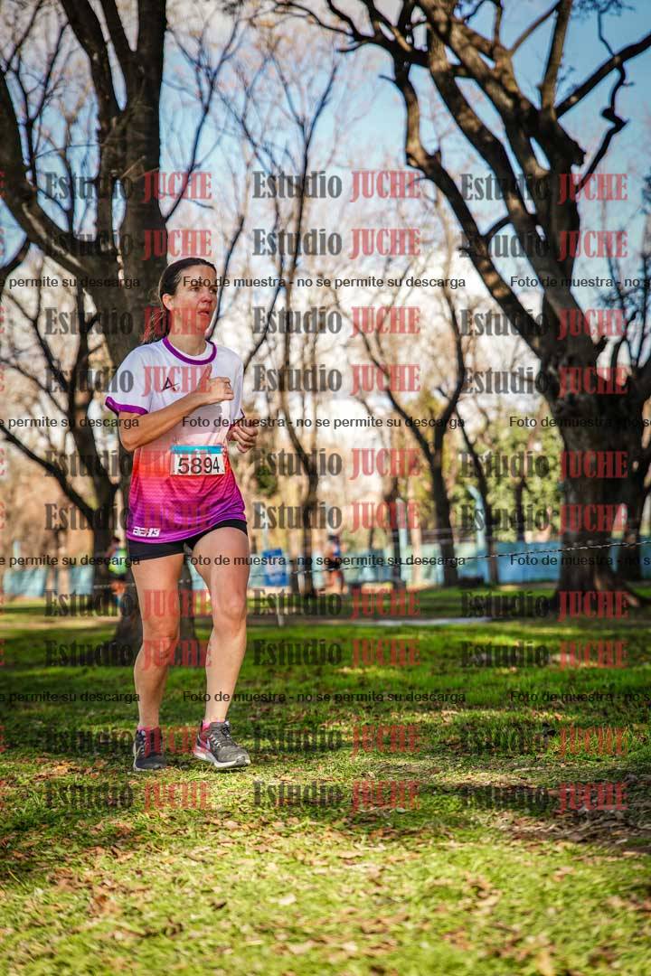 Fotos en el circuito